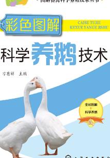 八字如何生金