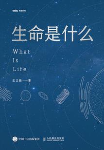 属鼠和属牛买哪层楼好些