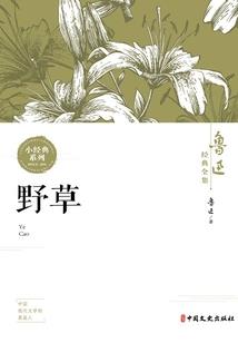阴历的新年是哪一天
