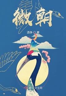 不想程开颜和宋运辉离婚