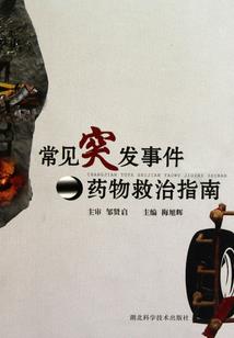 潮州创意生肖摆件采购