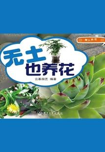 粉钱包与财运