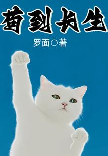 双星座性格特点