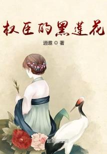 放农历初几