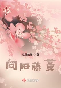 命运之路电影