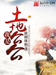 大草原羊图片招财属猪