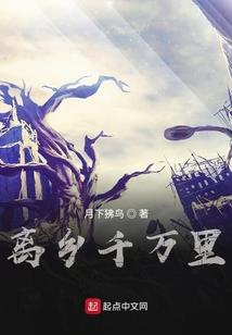 今日属猪运势2022年