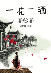 辰锐宸峰五行属什么