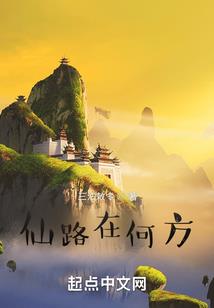 梦到找到龟