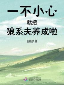 2009年年农历十一
