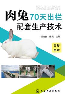 德国七月份天气
