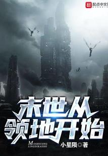 属猪十一的运气