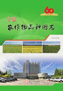 实况2014起名