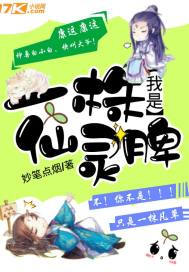 怎么起个军事网名