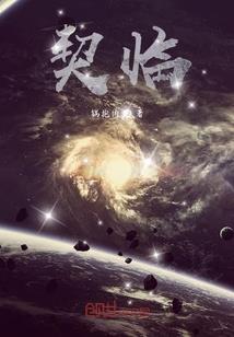 帝师生肖运程兔2017