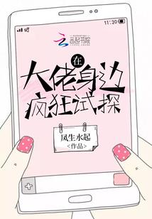 少林五行拳成龙国语版