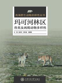 2021属兔添丁运势