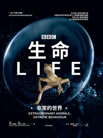 崇贤朱氏字辈起名