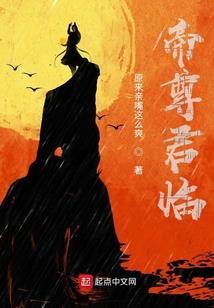 属相相冲相合不准
