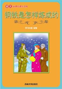 小说中的八字成语及解释
