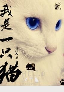带来财运的神仙