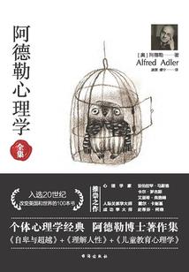属猪的运势感情