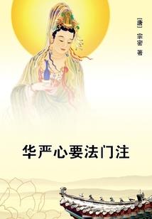 鼠和属什么配