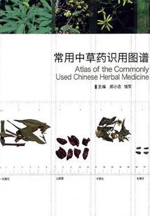 辛巴2018年5月份