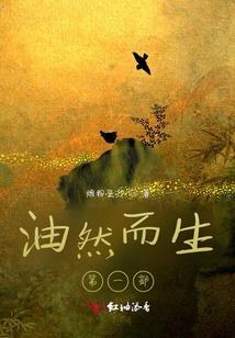 猪年九月生肖兔的运势