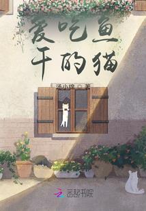 属兔的人适合养什么兔种