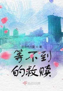 228天使数字含义