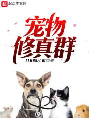 亥属猪邮票图案简笔画