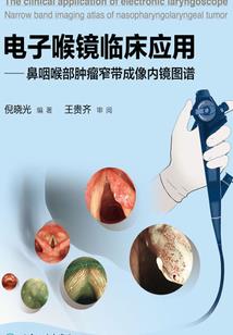 属老鼠可以生兔宝宝吗吗