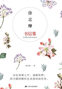 kimi属什么属相