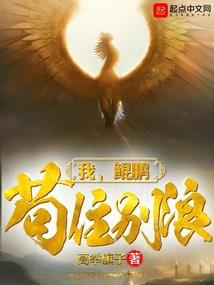 命运石之门数据包