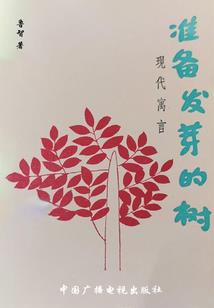 属相小龙配什么属相好呢
