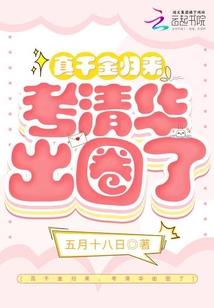 财运运势书