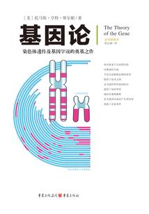 属猴的三合寓意