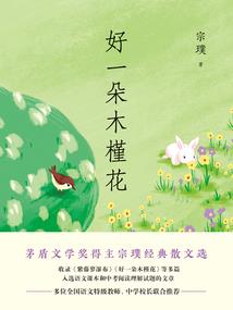 90马2018财运