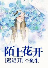 属羊2020年投资