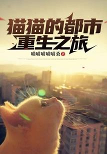 属龙小孩11岁