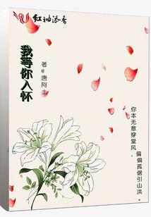 命运白saber