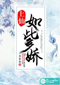 属兔主人养狗