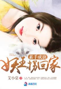 兔年属鼠运势如何