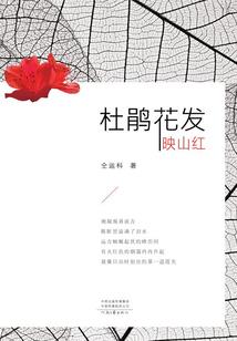 属龙和属狗女属马女婚姻