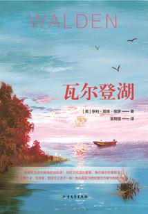 玄学圈运势