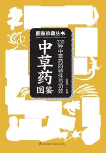 风水的解释英文版