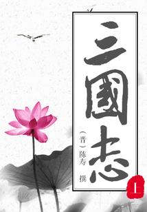 有3含义的东西