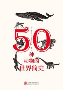 形意五行拳教学气势动作