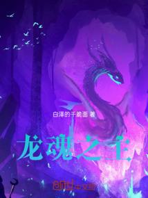 风云龙虎四门开是什么生肖